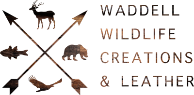 Waddell Wildlife Creations & Leather
